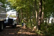 Up to 50% Off on Tree Removal at Hoffman Expert Tree Services - Second Medium