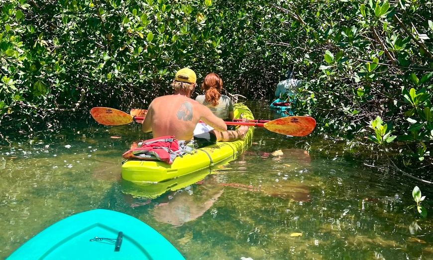 Image 3: 2-Hour Guided Clear or Regular Kayak Eco Tours (6+) for One / Two