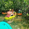 Image 3: 2-Hour Guided Clear or Regular Kayak Eco Tours (6+) for One / Two