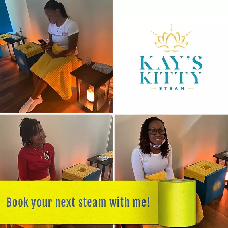 Up to 25% Off on V-Steam at Kay's Kitty Steam - Primary Image