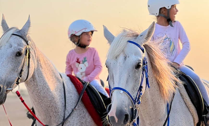 Image 4: Pony Ride, Desert Hack, Desert Tail Ride at JSR Stables