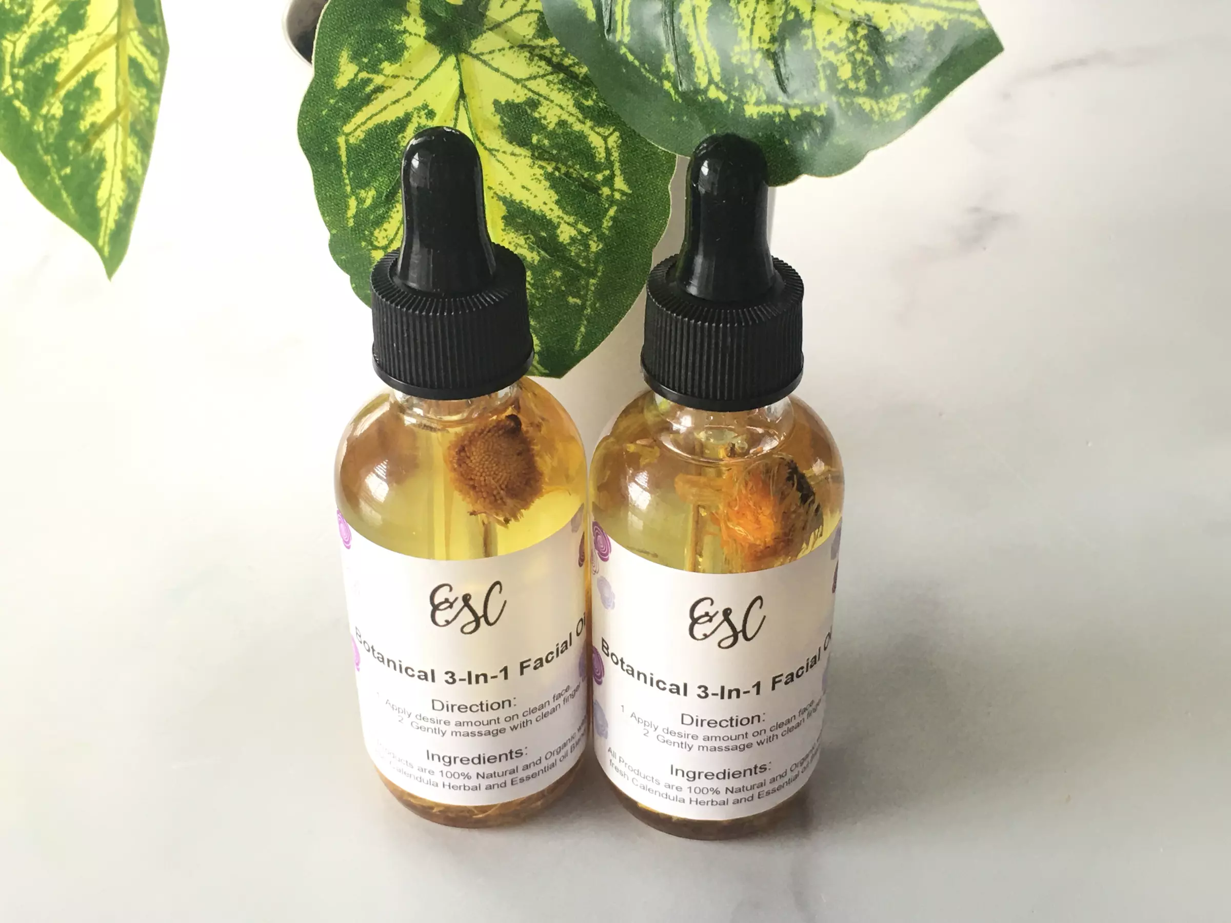 Explore the Botanical 3-IN-1 Facial Oil and More