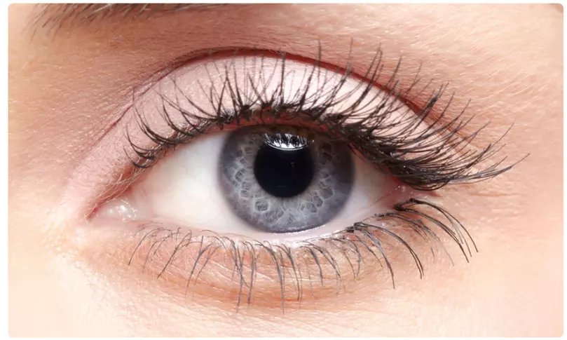 Up to 52% Off on Eyelash Perm at Its A Lash Thing Beauty Bar - Primary Image