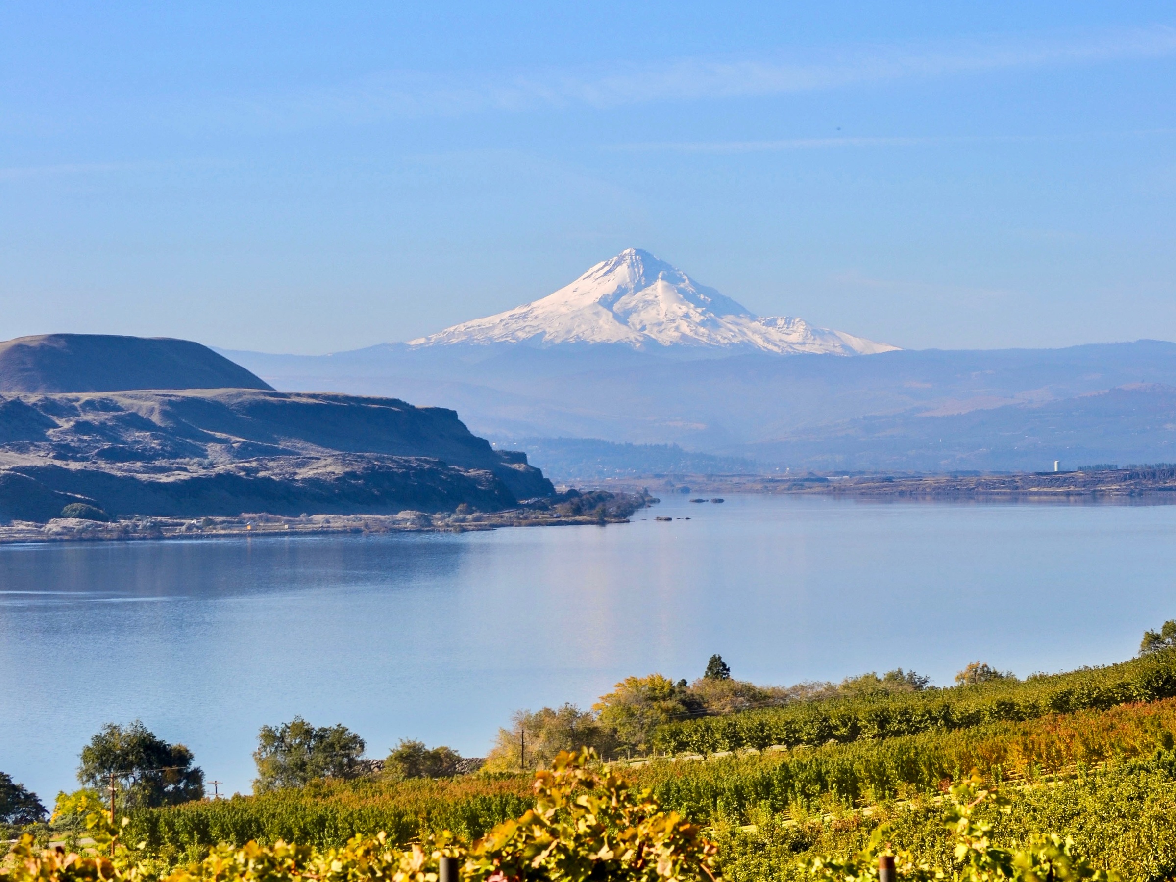 Wine Tasting Adventures Near Columbia River with Scenic Views