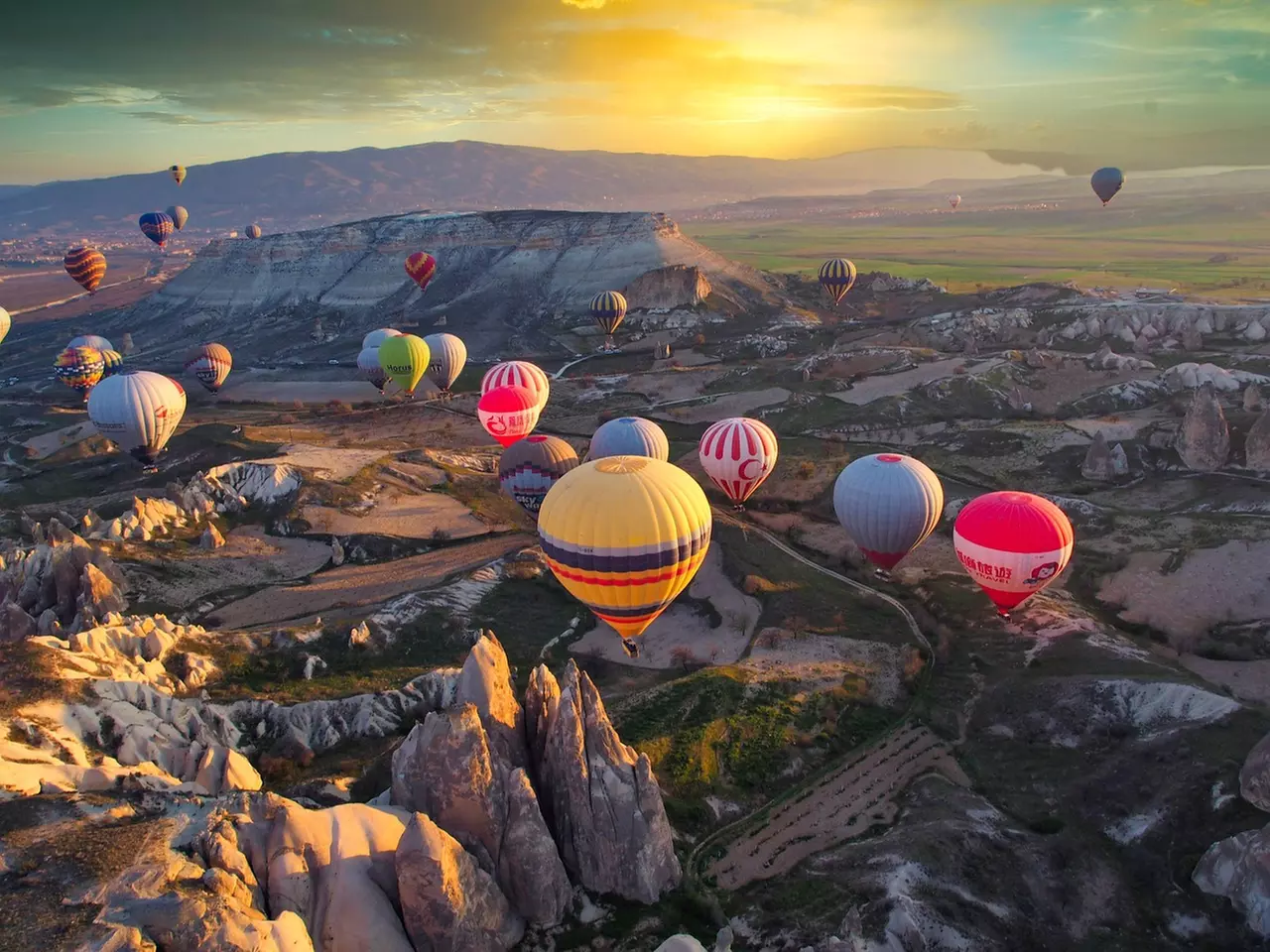 Up to 13% Off on Guided Tour at Troy Tours