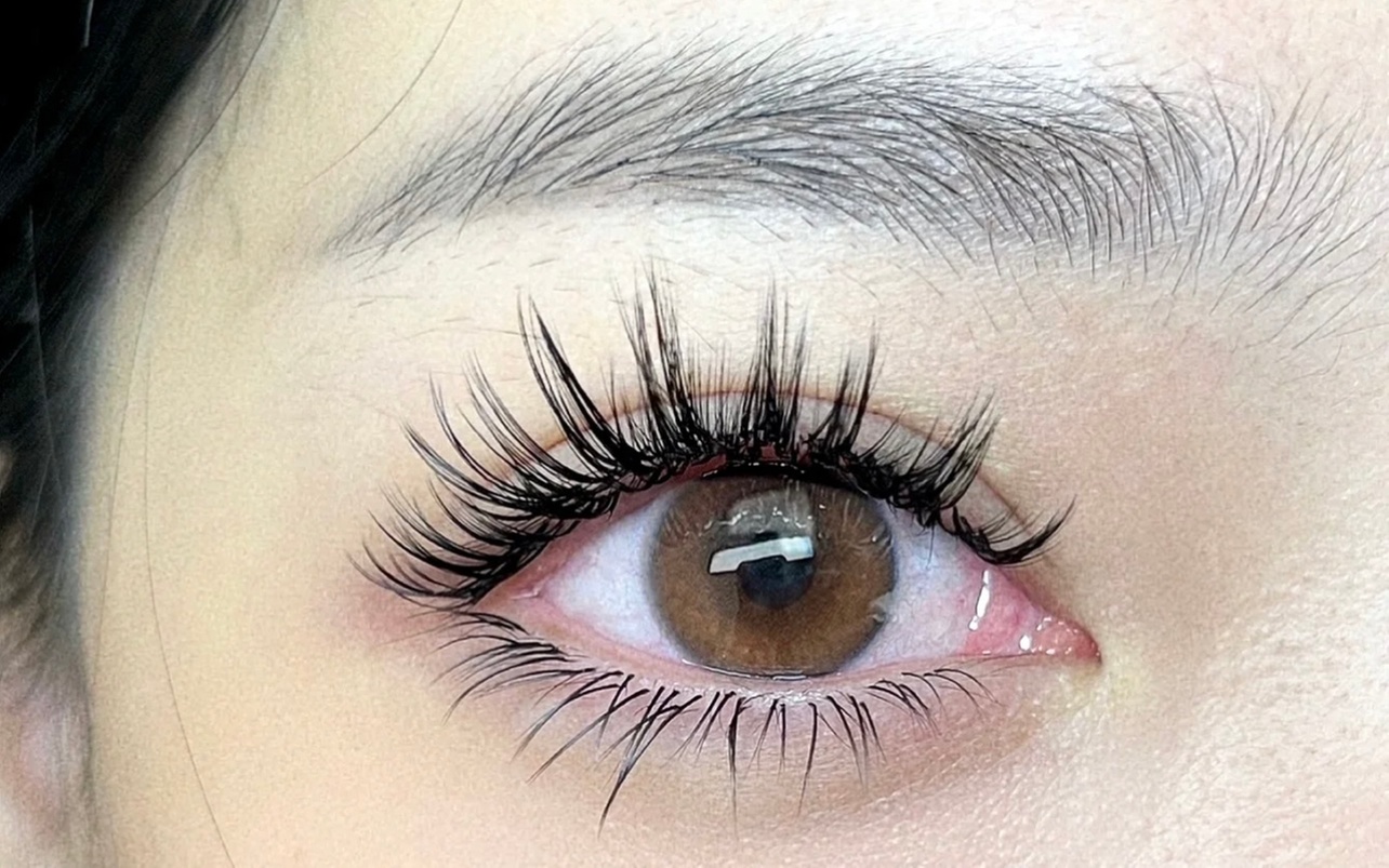 Discover Canny Beauty Lashes' 3D Volume and Mink Eyelash Extensions with up to 50% off for a glamorous transformation - Primary Image