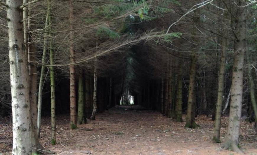 Image 3: Up to 50% off 4×4 Off-Road Driving Experience