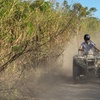 Image 1: Explore One, Two, or Four Admissions of Miami's ATV Safari  