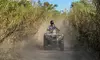 Miami's ATV Safari : Limited Edition ATV Safari in Miami's Untamed Jungle with Free Passengers & Video Package