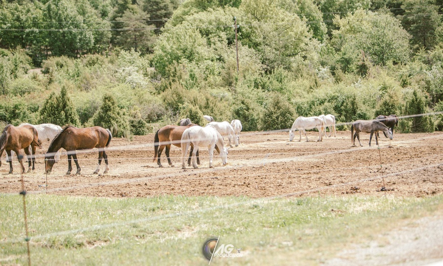 Image 3: Jusqu'à 33% de réduction sur une balade à cheval
