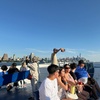Image 2: Statue of Liberty & New York City Sky Line Sightseeing Sunset Cruise