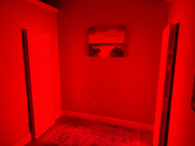 One Full Body Red and Near Infrared Light Session - Dresselhaus Chiropractic Center