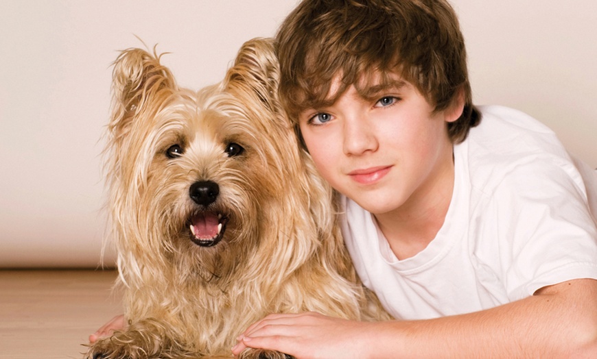 Image 1: Up to 94% Off on Photo Shoot - Pet at Barrett & Coe Leighton Buzzard