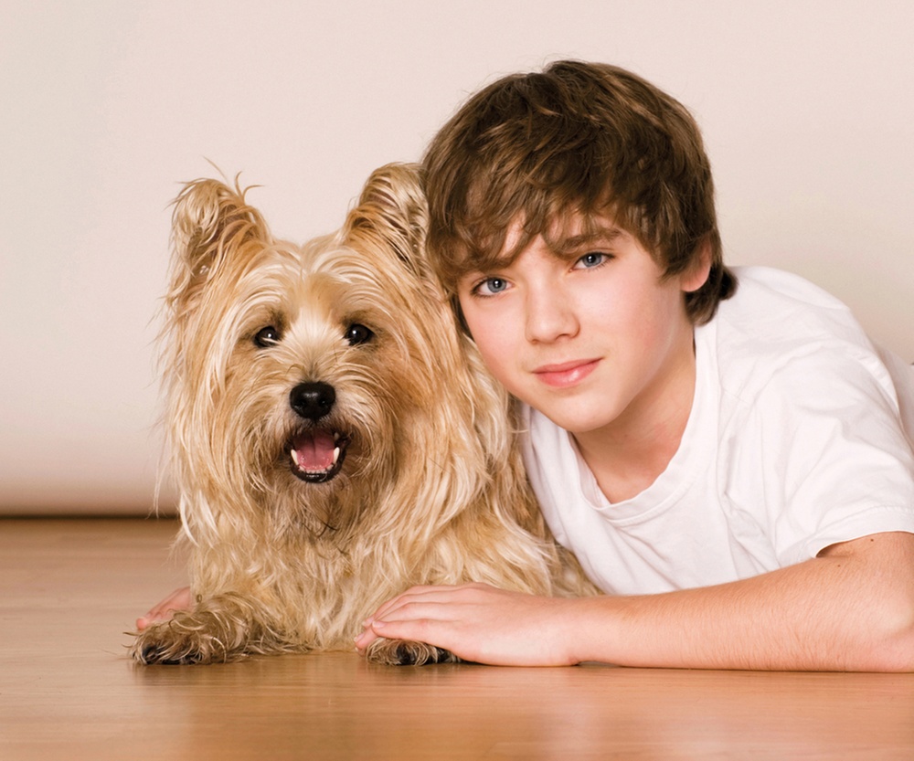 Up to 94% Off on Photo Shoot - Pet at Barrett & Coe Leighton Buzzard