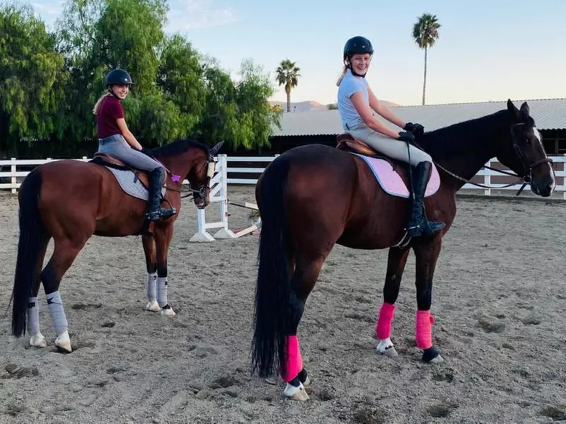 Up to 42% Off on Horse Back Riding at LMV Equine - Primary Image
