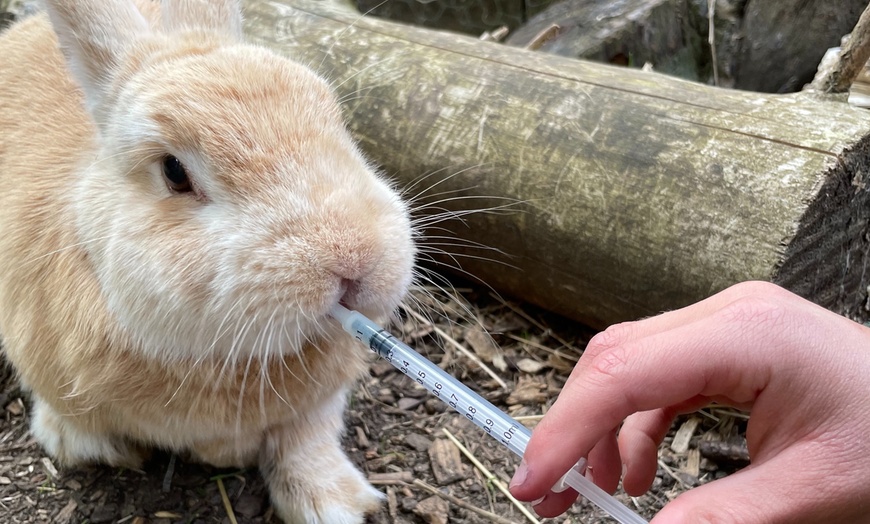 Image 2: Up to 36% Off on Zoo - Petting at The ARC Centre