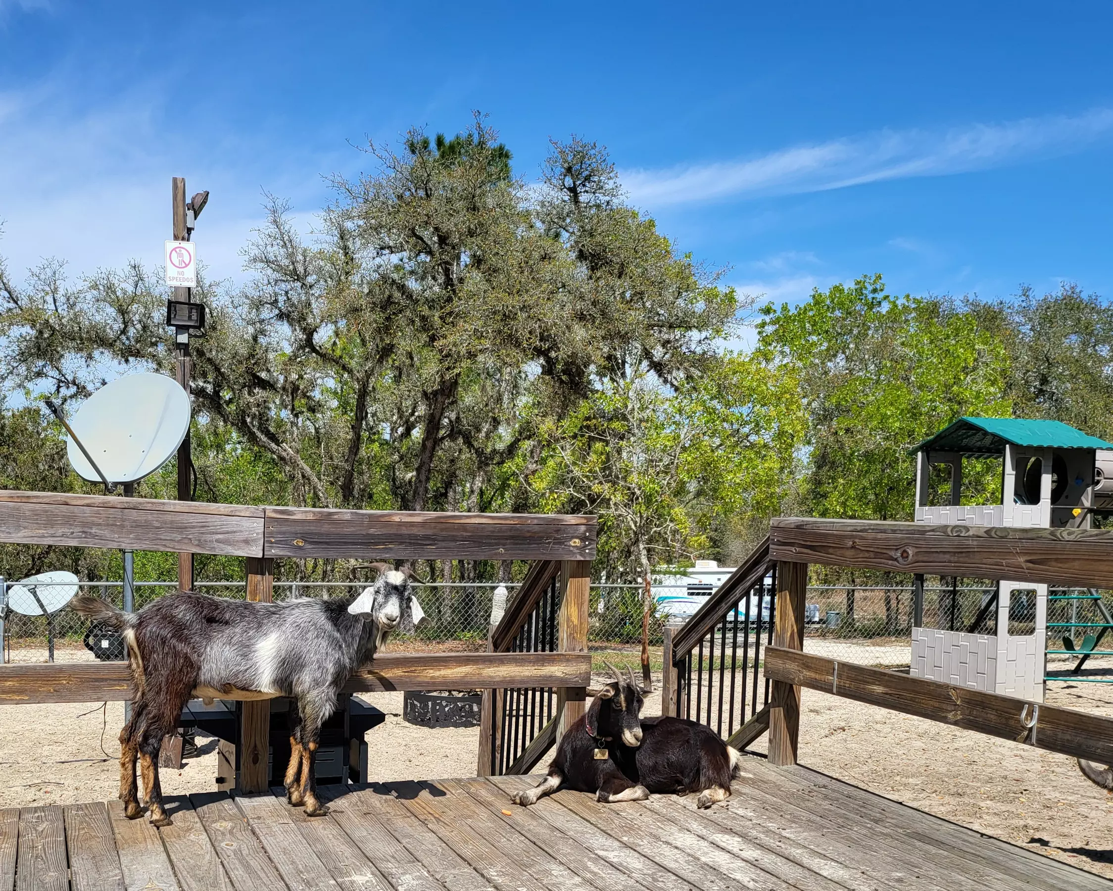 Up to 10% Off on Campground at Happy Campers Rescue Ranch - Second Medium