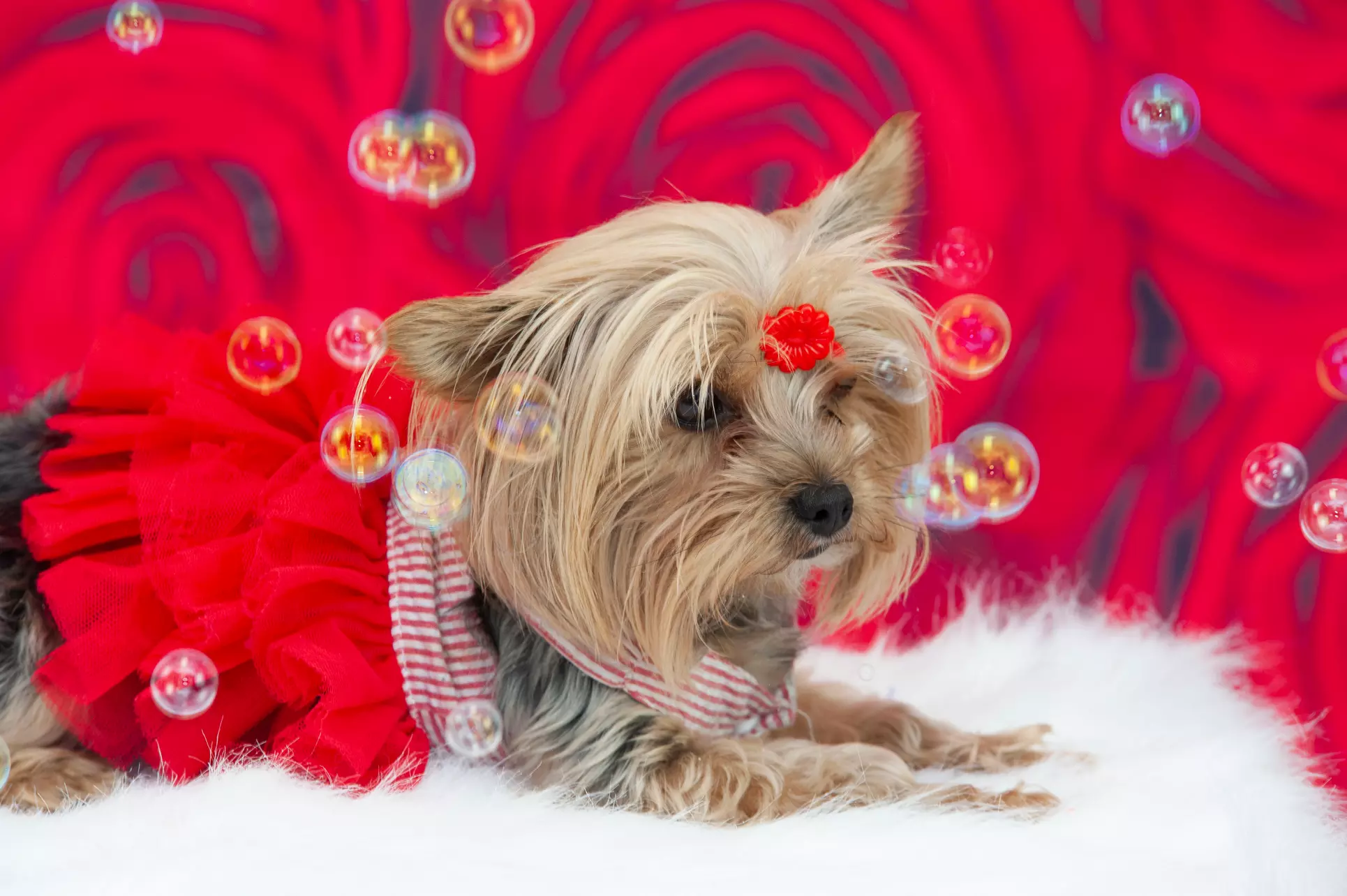 Up to 50% Off on Studio Photography at RM Photography