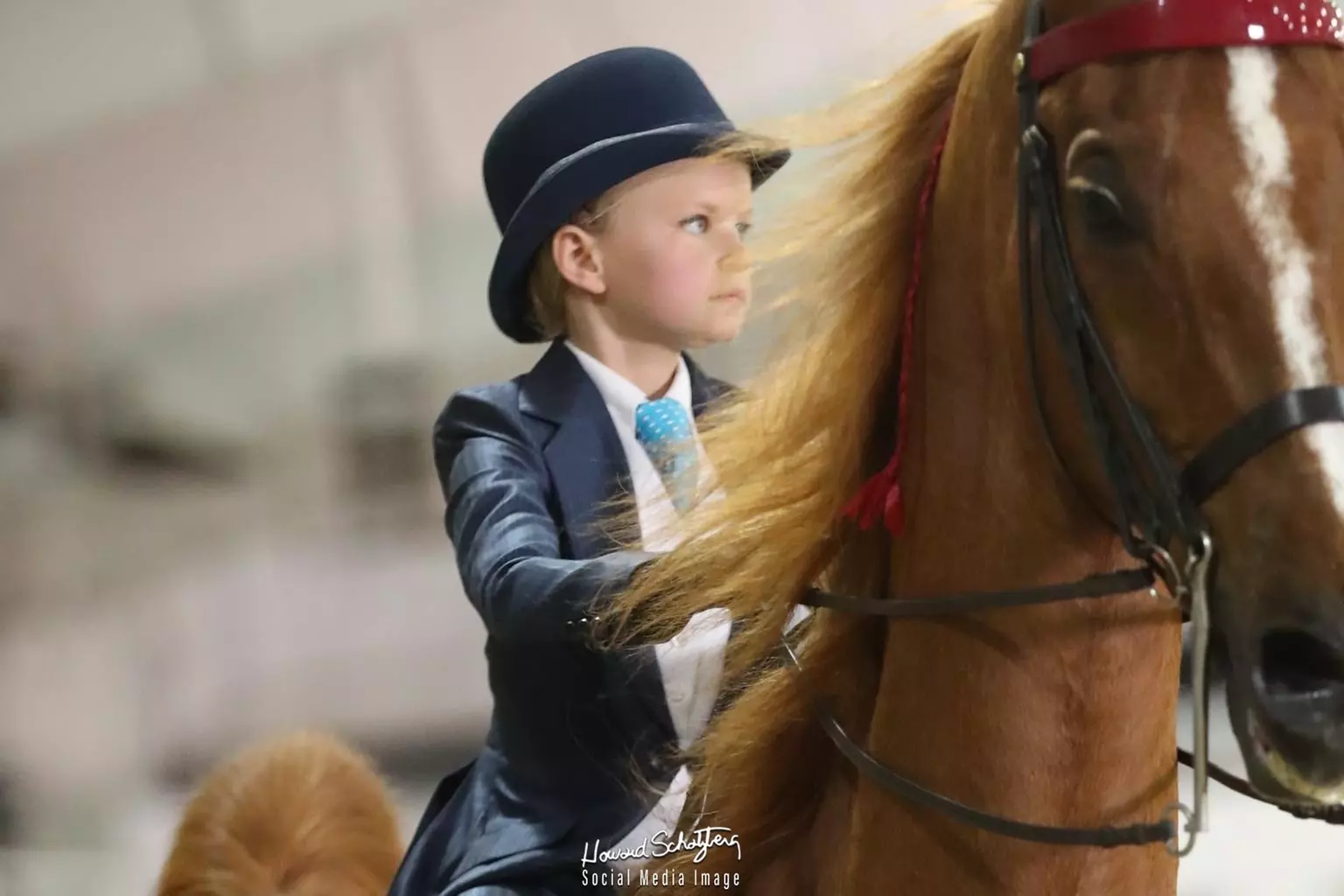 Up to 40% Off on Horse Back Riding at Redwing Farm LLC