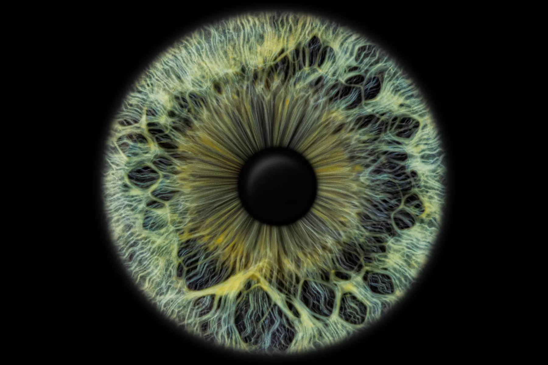 Iris Nahaufnahme: Ihr Auge im Mittelpunkt !