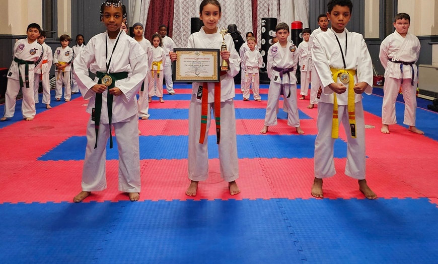 Image 5: Three Karate and MMA Classes