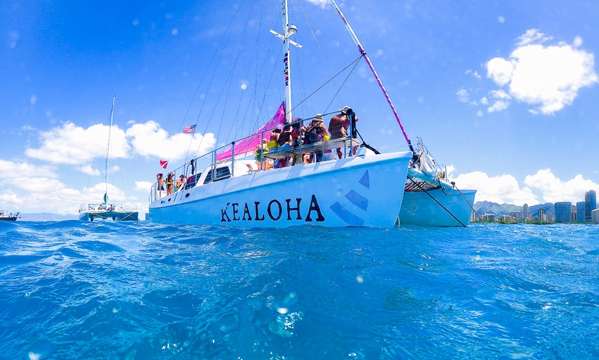 Image 4: Waikiki's Turtle Snorkeling Boat Cruise at Waikiki Snorkel Company