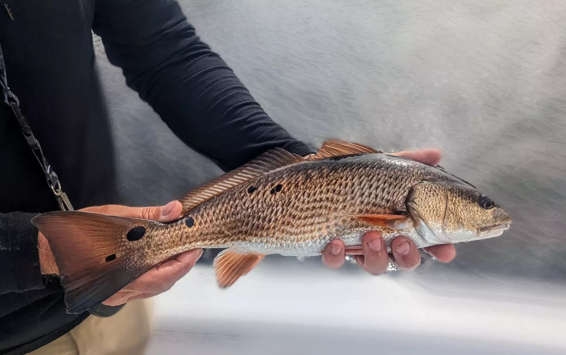 Up to 10% Off on Fishing at Tannic Water Adventures inc.