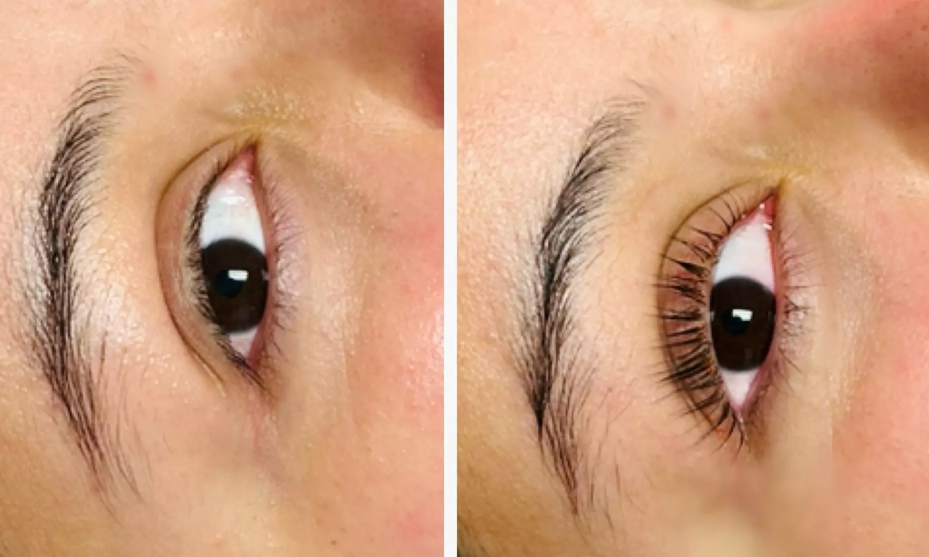 Choice of Eyelash & Brows Services and Packages