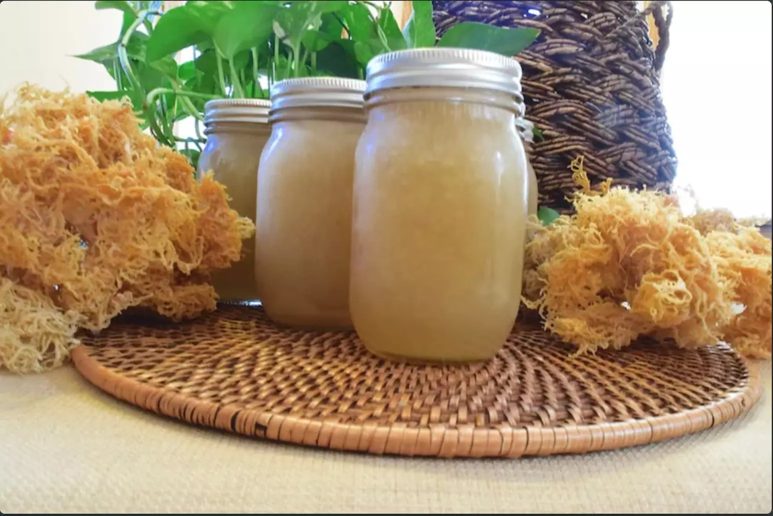 Up to 58% Off on Customizable Food and Drink at Emperors Oasis - Primary Image