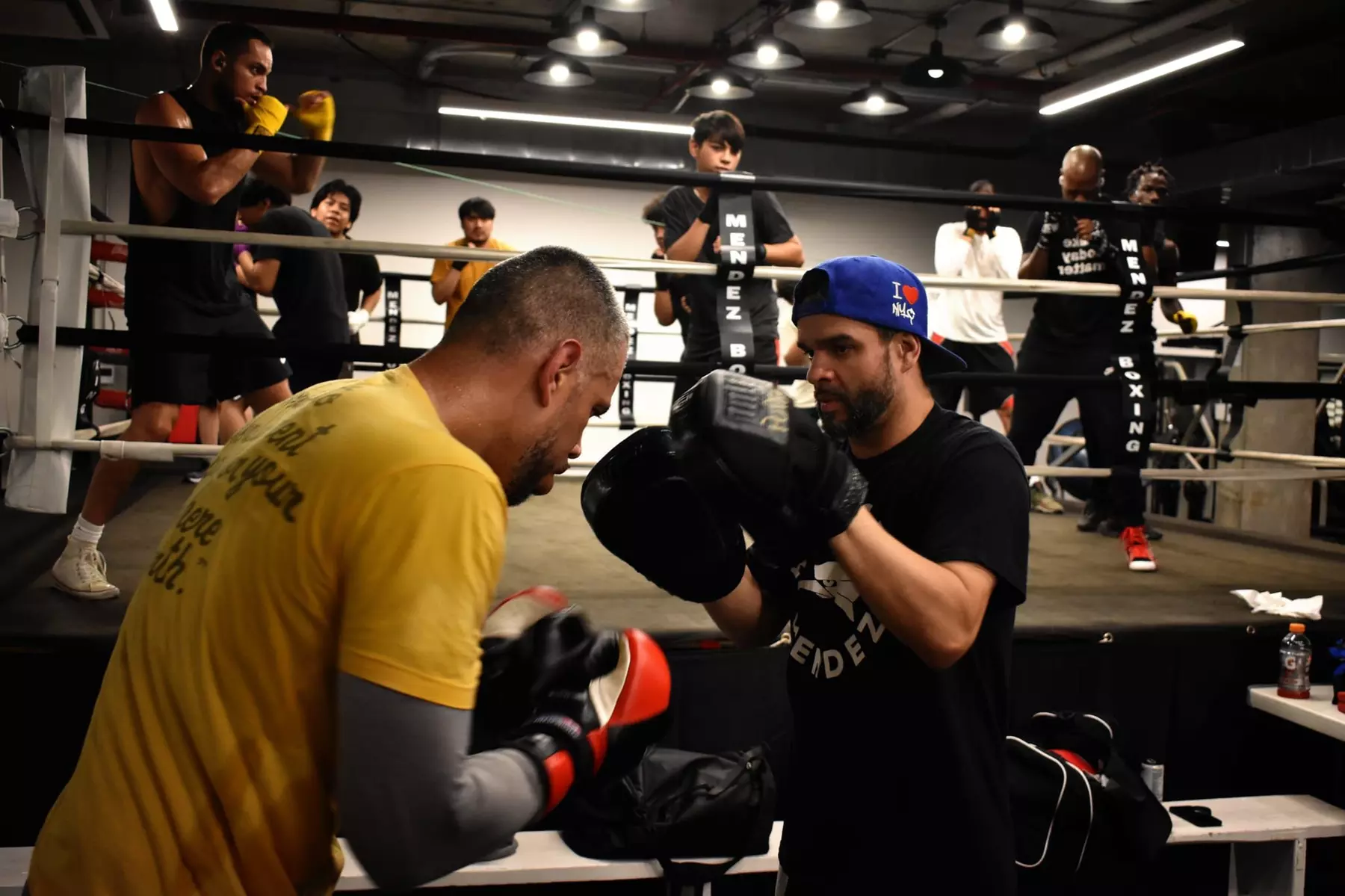 Four Classes of Boxing Training at Mendez Boxing Harlem
