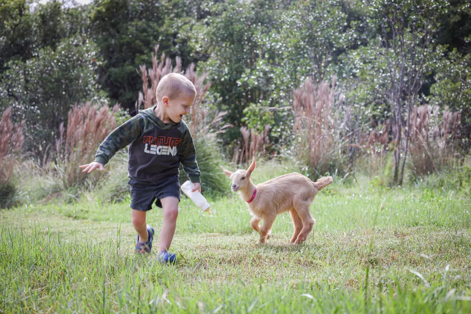 Up to 53% Off on Farm Tour at Ohana Ranch