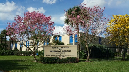 One Acupuncture Session - Florida College of Integrative Medicine