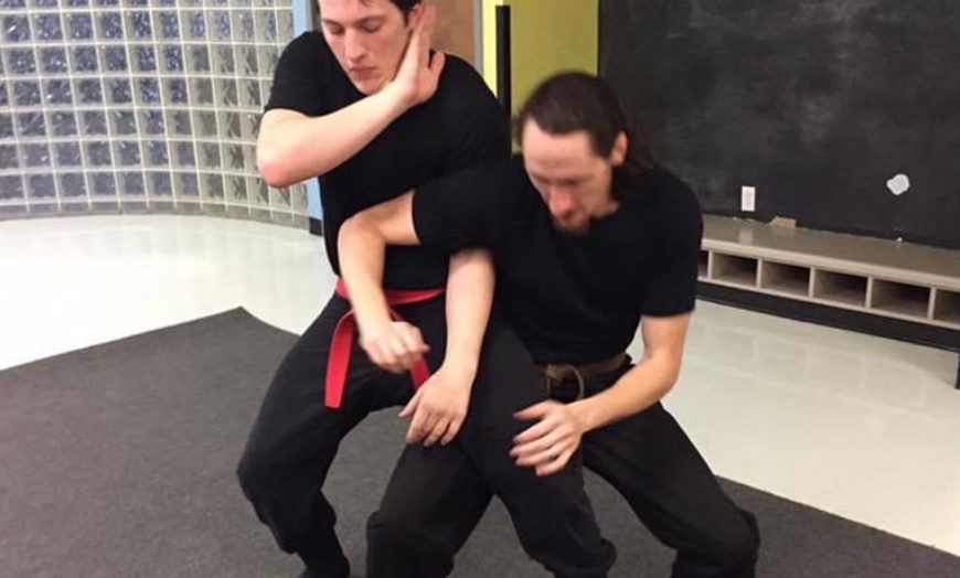 American Ninjutsu in - Mansfield, TX | Groupon