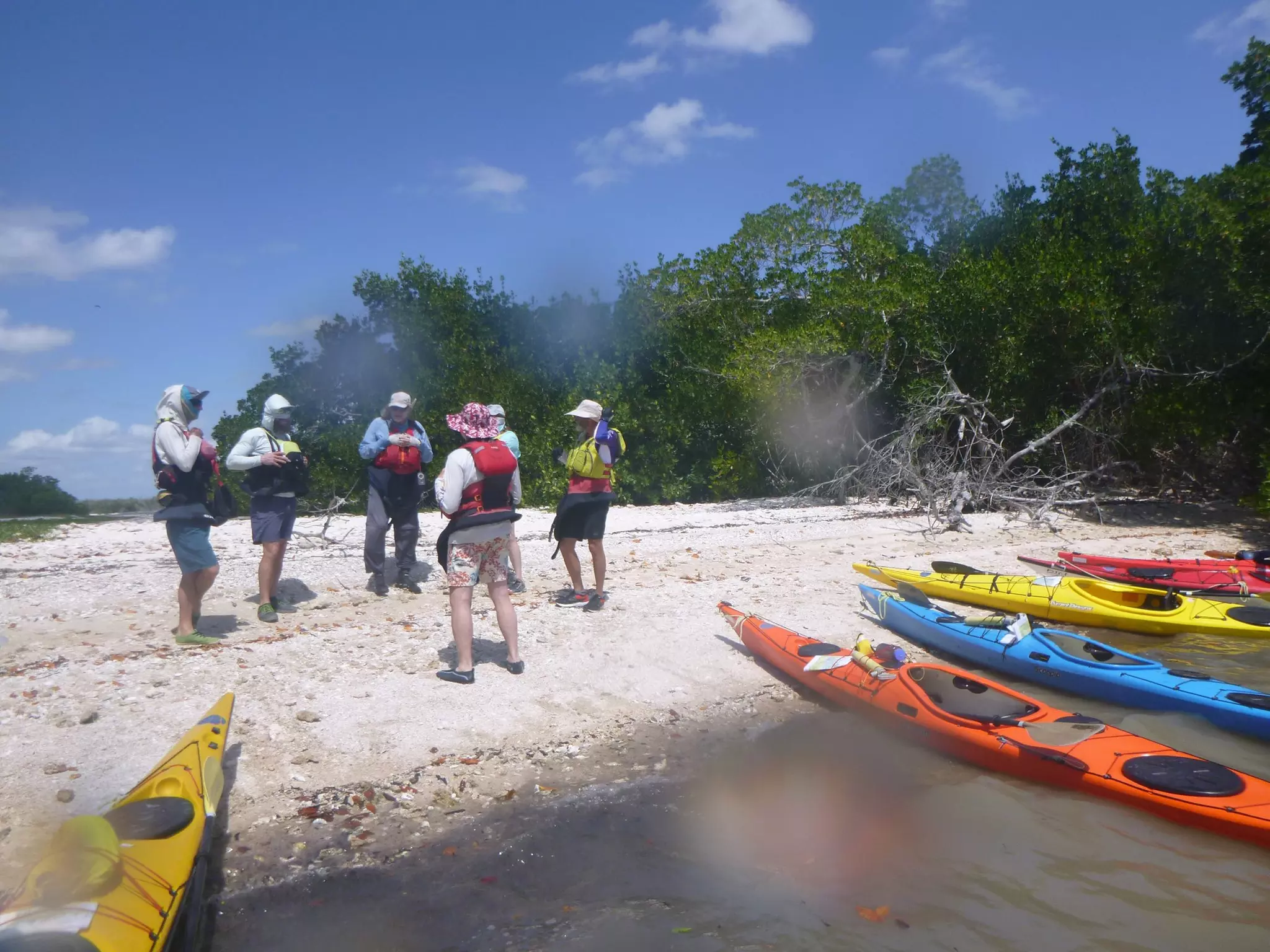 Up to 44% Off on Kayaking at Virginia Coast Eco Tours - Second Medium