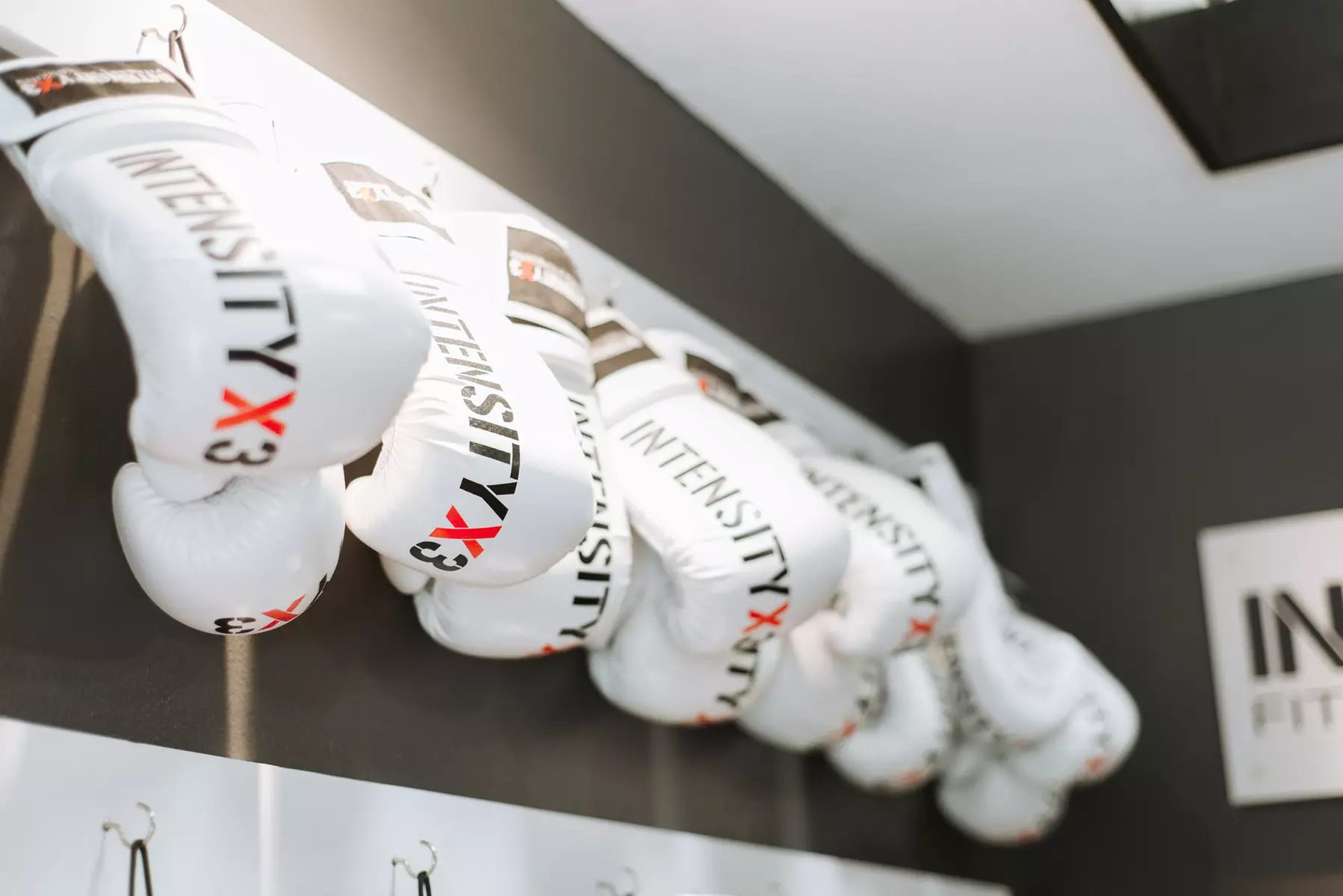 Try 3 or 5 Kickboxing Classes and Get Free Boxing Gloves!