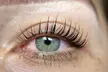 Enhance Your Look! Get Up to 55% Off Eyelash Lift & Treatment for Stunning, Long-Lasting Curl and Definition! - Second Medium
