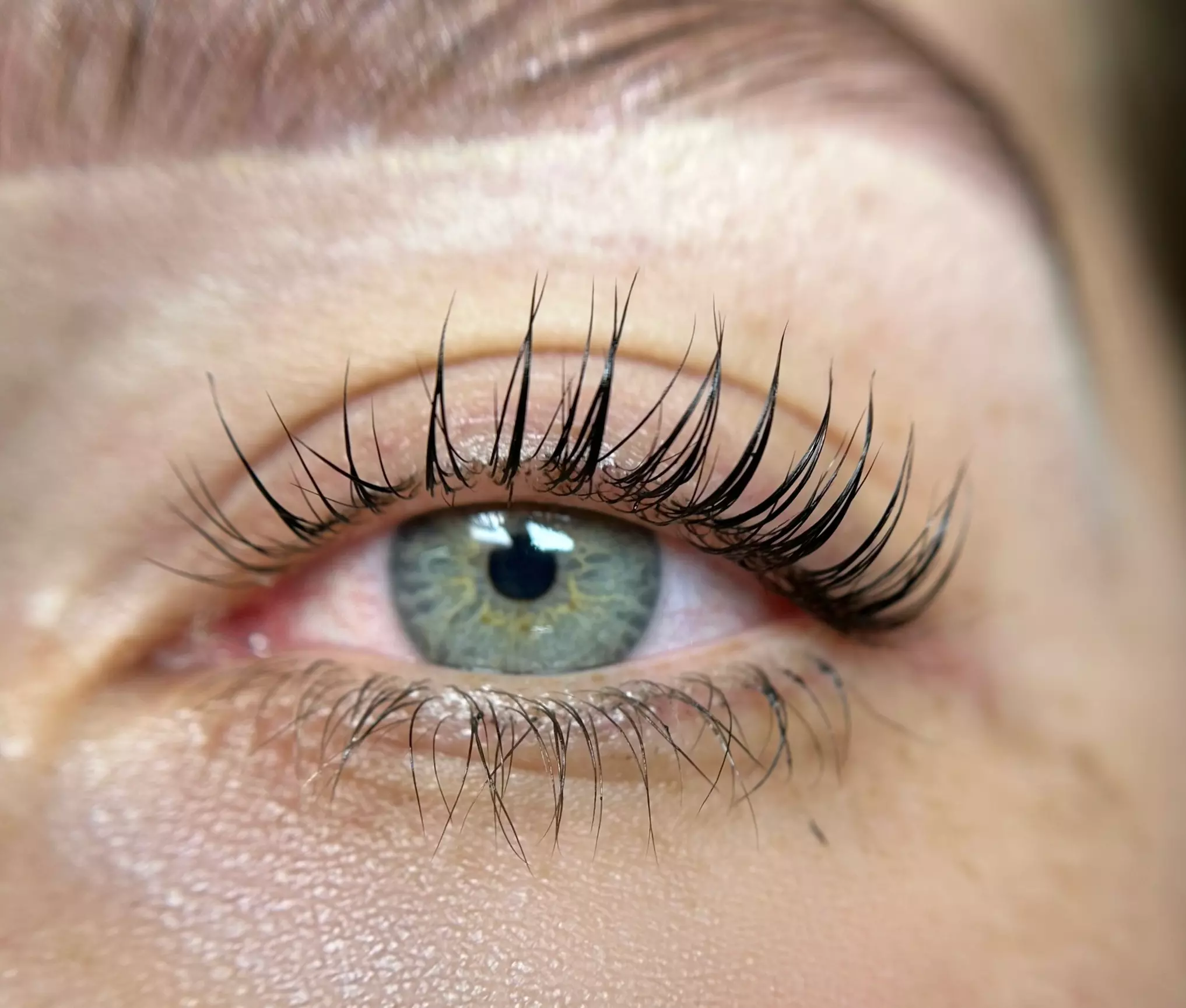 Unlock Stunning Eyes: Elevate Your Look with an Eyelash Lift/Tint!
