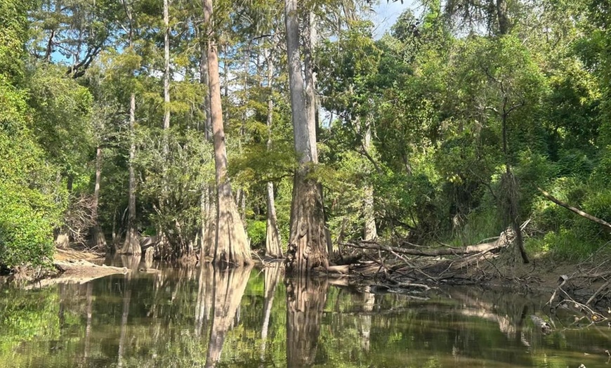 Image 3: Up to 45% Off on Guided Tour at KoKoMo Kayak Tours and Adventures