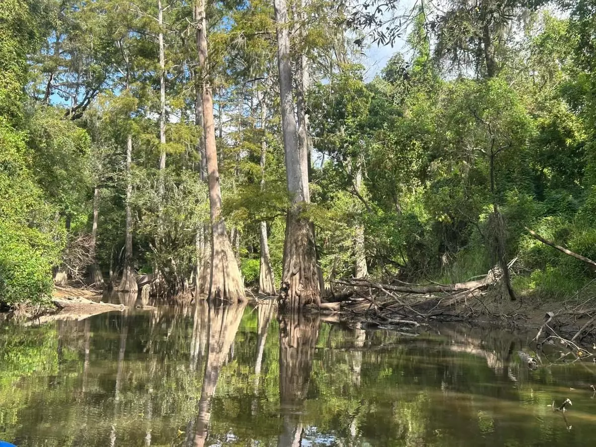 Up to 45% Off on Guided Tour at KoKoMo Kayak Tours and Adventures