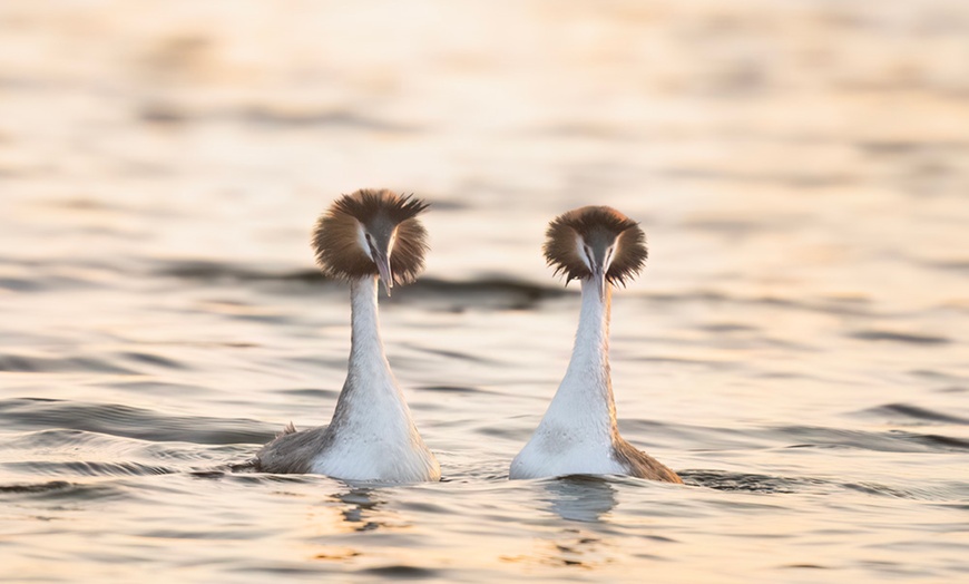 Image 6: Wildlife Photography Workshop for Beginners at Touch the Wild