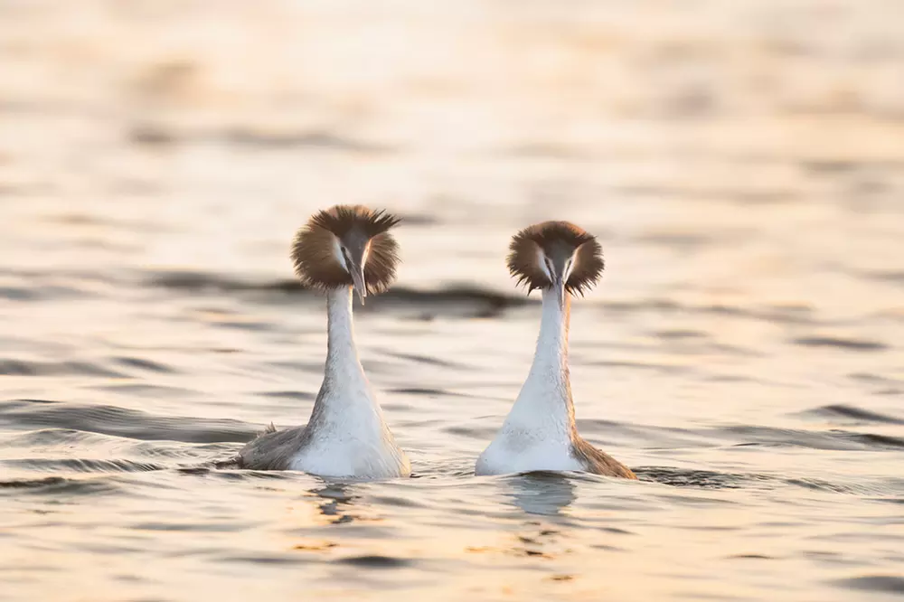 Wildlife Photography Workshop for Beginners at Touch the Wild