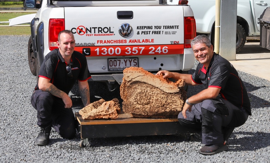 Image 1: Pest Control Service - Termite at Control Pest Management Brisbane