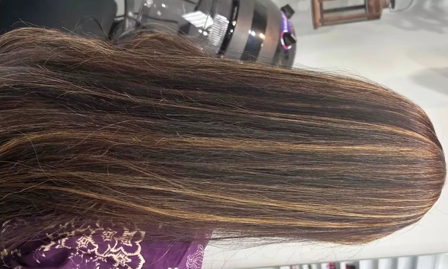 Haircut, Root Touch-Up, Men’s Haircut, and Half Highlights Packages
