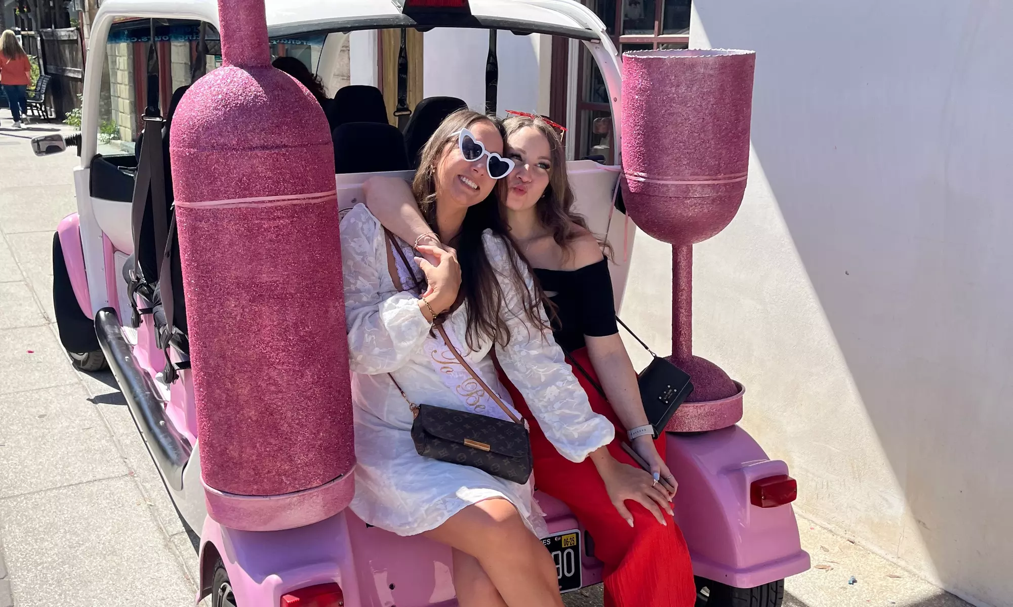 Up to 20% Off on Wine / Vineyard Tour at Serendipity Wine Tasting Tours - Primary Image