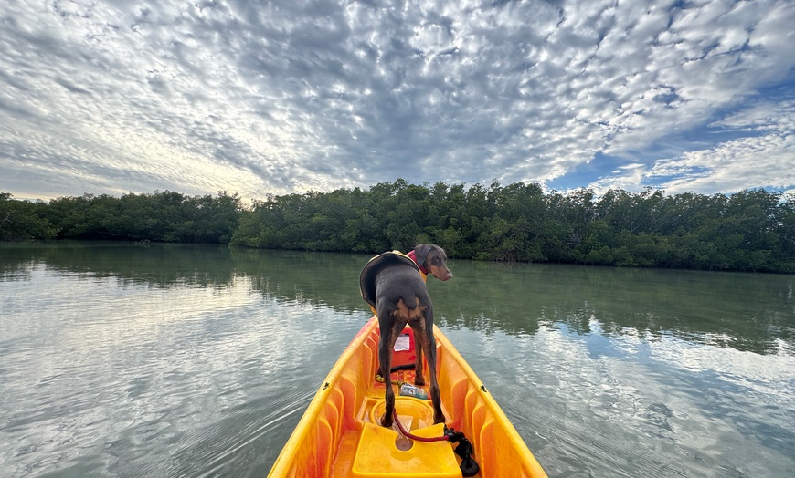 Image 6: Kayak & Paddleboard Rentals – Siesta Key Adventures