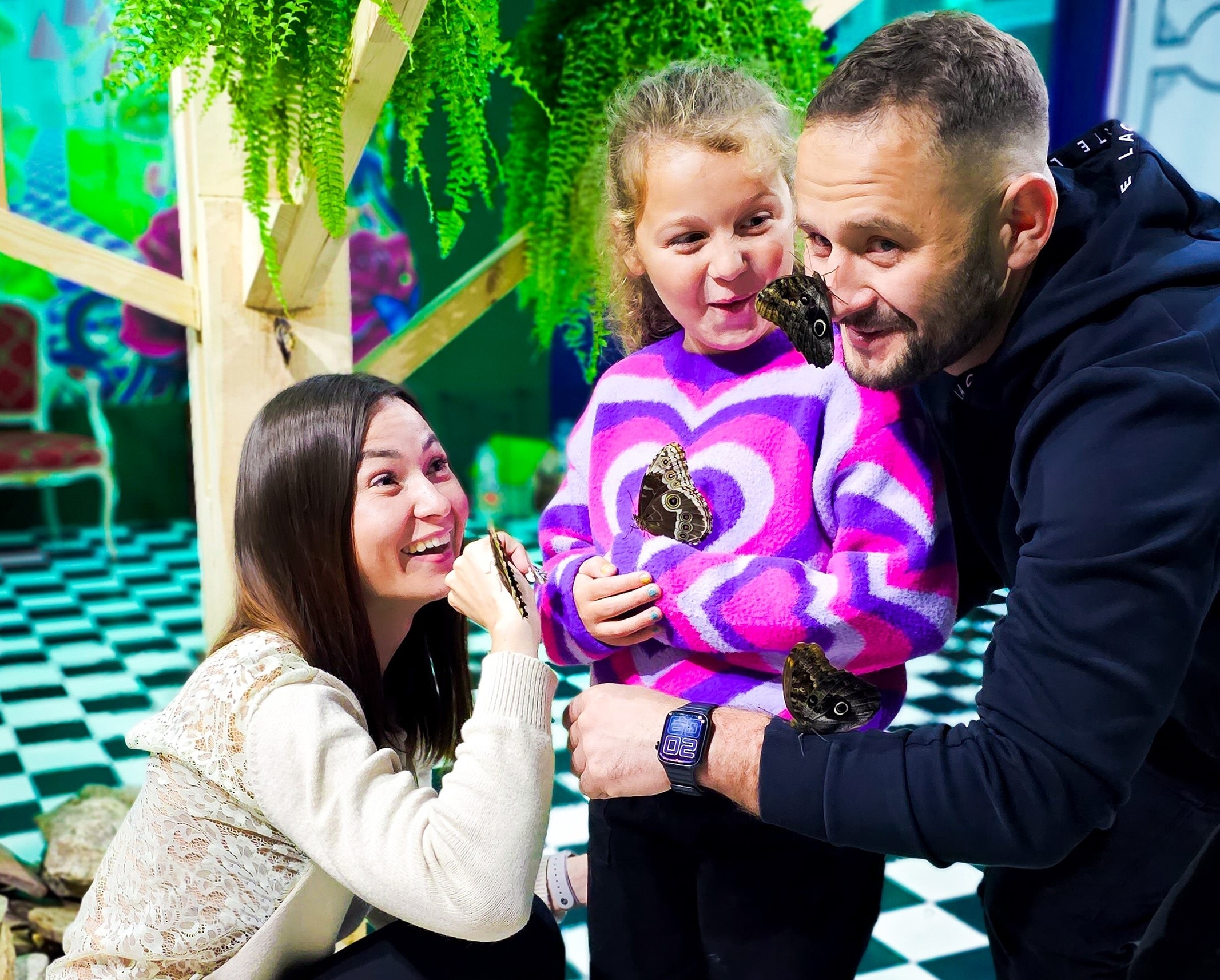 Bilety wstępu do Muzeum Żywych Motyli