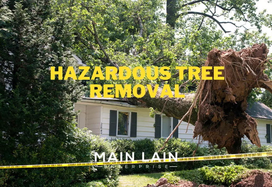 Up to 70% Off on Tree Trimming at Main Lain Enterprise - Second Medium