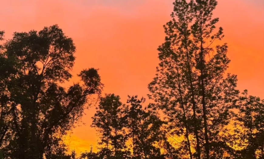 Image 18: Exclusive Wildlife Adventure: VIP Sunset Tour & Exotic Animal Feeding 