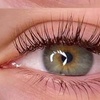 Image 4: Up to 51% Off on Eyelash Extensions at Beauty Blossom