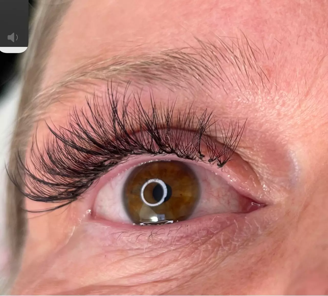 Achieve stunning lashes with Abiemu brow beauty's full and hybrid sets, with touch-up options available up to 50% off - Primary Image